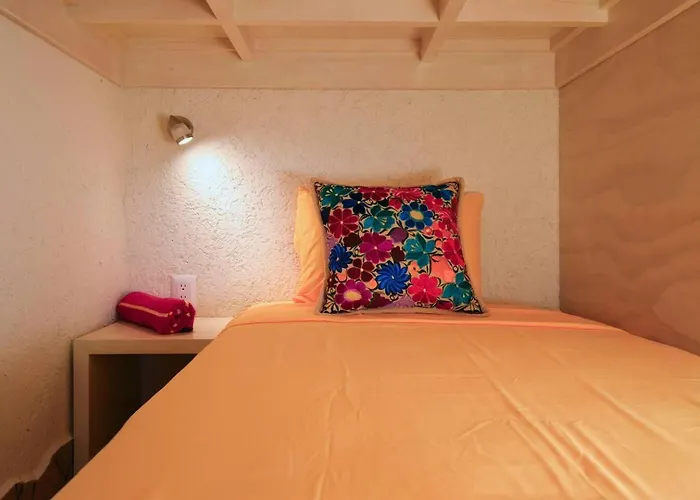 Spacious Family With Beautiful Garden View Séjour chez l'habitant San Miguel de Cozumel